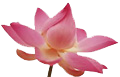 meditation-logo.png