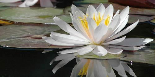 Meditation in Innsbruck