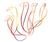 Sri Chinmoy's Soul Birds